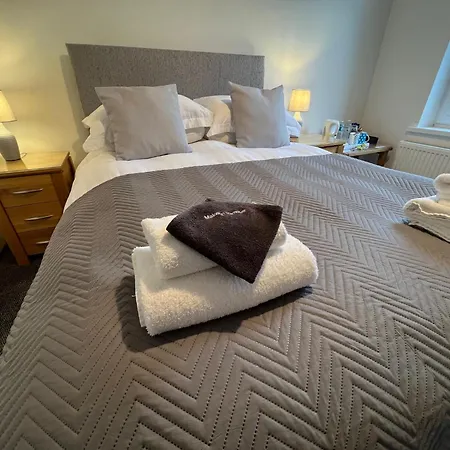 多莉维格宾馆 3*