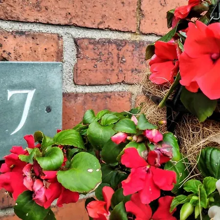 Dolly Waggon كيسويك