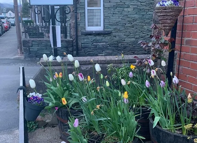 住宿加早餐酒店 多莉维格宾馆 3*