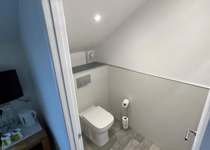 多莉维格宾馆 住宿加早餐酒店 3*