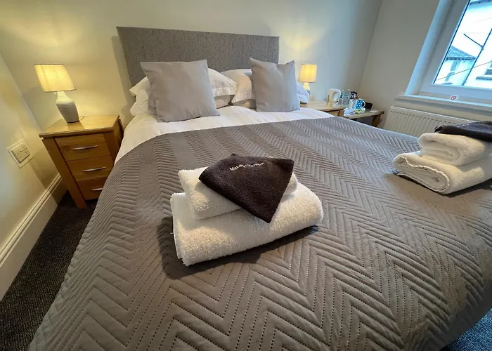 多莉维格宾馆 3*