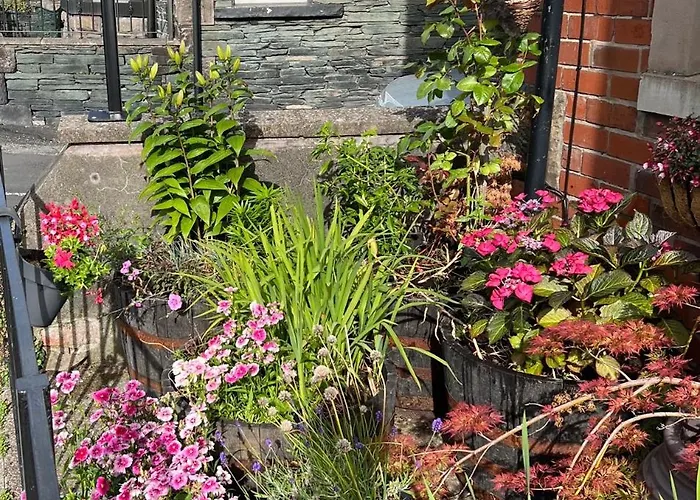 多莉维格宾馆 3* 凯西克